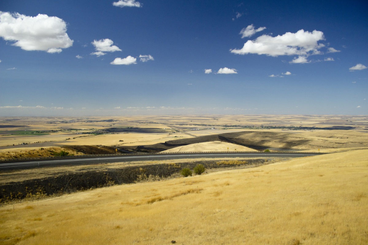 Oregon Landscape